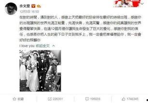 娱乐吃瓜酱年度总结,娱乐圈风云变幻，热点事件回顾  第2张